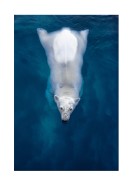 Swimming Polar Bear | Gör en egen poster