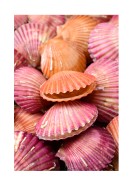 Pink Sea Shells | Gör en egen poster